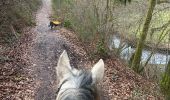 Trail Horseback riding Neufchâteau - Bois d’Ospot - Photo 5