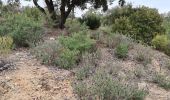 Excursión Senderismo Roquebrune-sur-Argens - Roquebrune - monastère de Notre Dame de pitié  - Photo 17