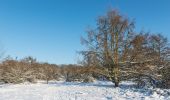 Tour Zu Fuß Unbekannt - Wanderweg 5 - Photo 9