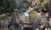 Trail Walking La Thuile - Cascade du Ruitor La Thuile - Photo 2