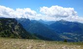 Randonnée Marche Entremont-le-Vieux - Croix de l Alpe Le Pinet  - Photo 14