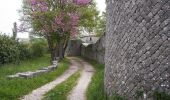 Tour Zu Fuß San Polo Matese - Tratturo Pescasseroli-Candela - Photo 3