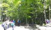 Tocht Noords wandelen Saint-Nizier-du-Moucherotte - Parcours avec vue en 8 sur le plateau Charvet en Marche Nordique - Photo 2