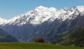 Tour Wandern Zeneggen - Circuit Zeneggen - Toerbel - chemin panoramique 05.2019 - Photo 5