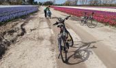 Trail Hybrid bike Loctudy - la torche  jacinthes  - Photo 3