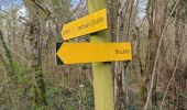 Trail Walking Crugny - Crugny du 30/03/2025 - Photo 8