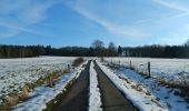 Tour Zu Fuß Malmedy - Ligneuville : Haye - Photo 1