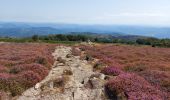 Trail Walking Colombières-sur-Orb - de colombieres sur orb aux avels superbe - Photo 12