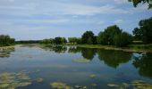 Tour Wandern Morand - Morand - Dame-Marie-les-Bois Autrèche - 22.2km 150m 5h00 (35mn) - 2023 06 21 - Photo 11