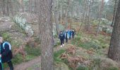 Trail Walking Fontainebleau - carrefour Acheté 3 février 2023 - Photo 5