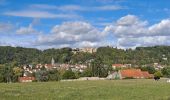 Tour Wandern Saint-Rémy-lès-Chevreuse - Virade de St Remy Parcours jaune - Photo 17