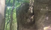 Tour Wandern Gerolstein - Eifelsteig Gerolstein - Photo 9