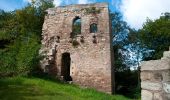 Tour Zu Fuß Bad Berka - grüner Balken Tannroda - Photo 9