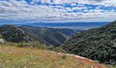 Tour Wandern Lacoste - Massif des Cèdres via Lacoste - Photo 8