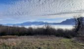 Tour Wandern Chantesse - Traversée Chantesse Vitalieu Vinay - Photo 6