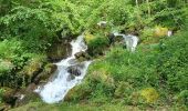Trail Walking Soulom - Ortiac- Abbayie St Orens - Photo 4