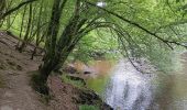 Trail Walking Houffalize - Le herou . Le chesle - Photo 10