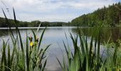 Tour Zu Fuß Schlammersdorf - Holzmühle Rundweg 1 - Photo 7