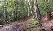 Trail Walking Seraing - ptit tour par les ptits chmins du bois de sraing - Photo 6