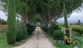 Excursión Bici de montaña Mormoiron - Fontaines et Pierres sèches - Photo 2