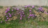 Randonnée Marche Argens-Minervois - ARGENS - par Bassanel Bis - Photo 18