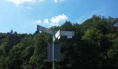 Randonnée A pied Dammbach - Ortswanderweg Dammbach 1 - Photo 3