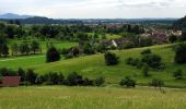 Trail On foot Teningen - Vierburgenweg - Photo 8