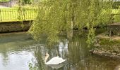 Tocht Noords wandelen Habscht - Grande boucle Clairfontaine - Photo 18