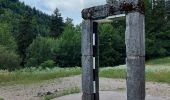 Randonnée Marche Hauts de Bienne - sentier de la Bienne - Photo 4