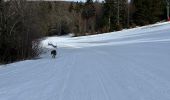 Trail Walking Stosswihr - La Schlucht Le Hohneck Le lac de La Lande Le Collet - Photo 1