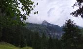 Trail Walking Mallnitz - Seebach Cascades - Photo 17