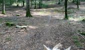 Tocht Paardrijden Badonviller - Grand chêne vierge clarisse  - Photo 10