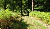 Tour Wandern Tintigny - Lahage 15 septembre 2018 - Photo 2