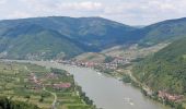 Excursión A pie Gemeinde Rossatz-Arnsdorf - Welterbesteig Wachau Etappe 11 - Photo 5