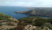 Tour Wandern el Port de la Selva - Port de la Selva Cadaqués  - Photo 1