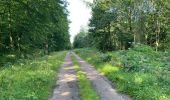 Trail Walking Oigny-en-Valois - en forêt de Retz_86_les Laies de la Poudrerie et de la Fosse aux Demoiselles - Photo 12