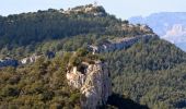 Tocht Stappen Ceyreste - Autour du Montounier 2eme version - Photo 14