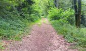 Randonnée Marche Charix - lac de genin - bretouze /  retour - Photo 12