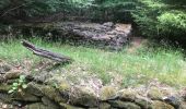 Trail Walking Hultehouse - 2020-06-11 Wasserwald et sentier des bornes - Photo 3