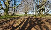 Tour Wandern Kirchberg - Rando du 11/04/2024  ..Marcheurs - Photo 9