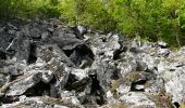 Randonnée Marche Courgoul - Les gorges de Courgouls et le Pic de Cluzel - Photo 16