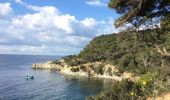 Trail Walking Hyères - Sentier du littoral de Giens - Photo 10