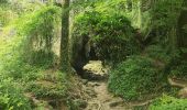 Trail Walking Roquefort-les-Cascades - Roquefixade Alain G - Photo 1