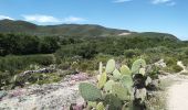 Excursión Senderismo Palasca - Les Agriates - Photo 1