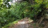 Trail Walking Collobrières - Autour de la Chartreuse - Photo 5