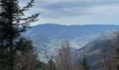 Excursión Senderismo Cornimont - Col du Brabant - Roche du Lac via Collet-Masuy - Photo 11