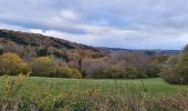 Percorso Marcia La Bourboule - Bourboule-puy-st-roch-retour-Bourboule - Photo 14