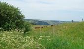 Tocht Stappen Allanche - Allanche - Maillargues Puy de Mathonière - 12.8km 320m 4h00 - 2019 06 25 - Photo 3