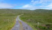 Tour Zu Fuß West Cork - Coomkeen Loop Walk - Photo 4