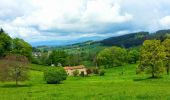 Tour Zu Fuß Cunlhat - Le Chemin de Ronde - Photo 2